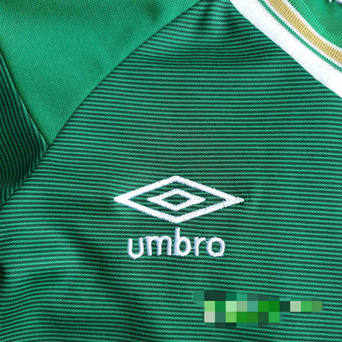 Kids Ireland 2021 Home Soccer Jersey and Short Kit