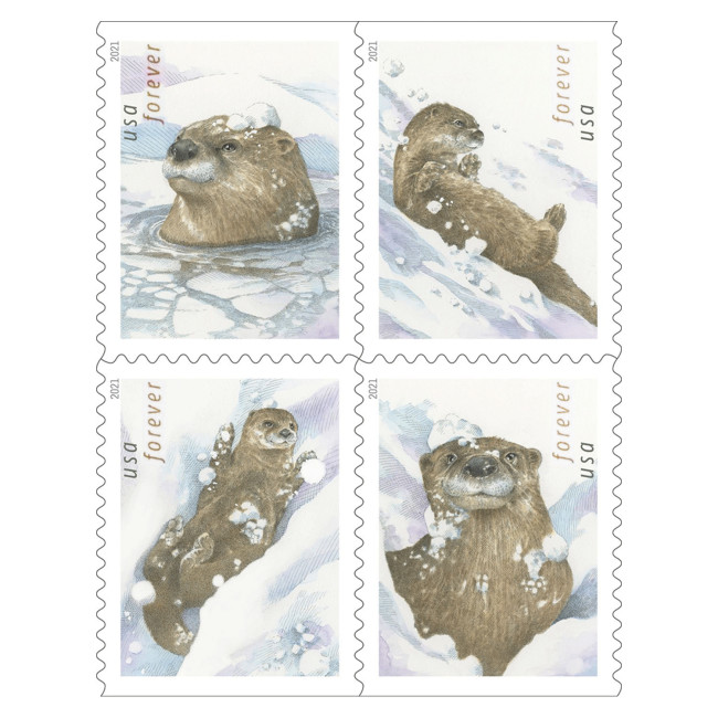 Otters in Snow 2021, 100 Pcs