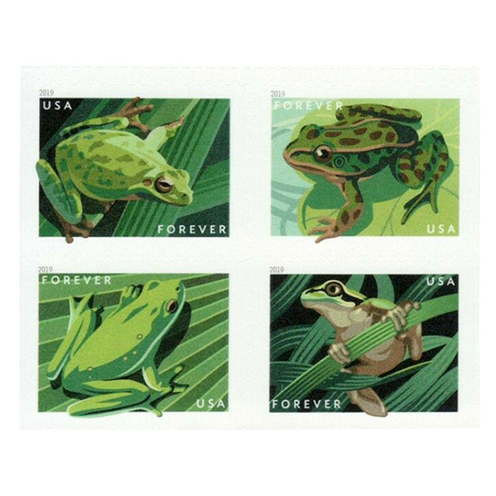 Frogs 2019, 100 Pcs