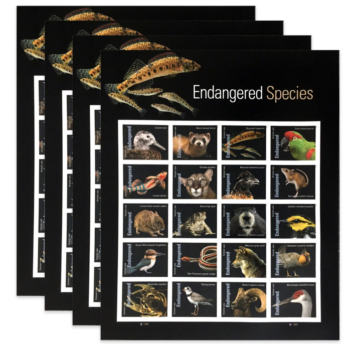 Endangered Species, 100 Pcs