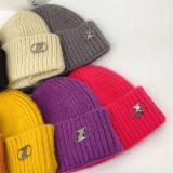 Street Fashion WE11DONE  labeling woolen hat autumn and winter  wild knitted cold hat men and women