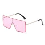 Big Frame Trendy Print Sunglasses