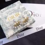 New Earrings Temperament Pearl Celebrity Earrings Jewelry