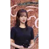 New Earrings Temperament Celebrity Earrings Jewelry