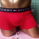 3Pcs Men's Cotton Boxer Briefs UNDERWEAR