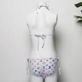 European And American Bikini Split Swimsuit