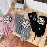 Ladies fashion gloves