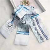 Silk-like Scarf Double Bow Women Print Ribbon Hair Bows Tie Bag Accesseries