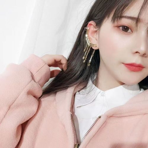 1Pc 925 Silver Pin Retro Diamond Earrings European And American Alphabet Ear Bone Wheat Ear Wings