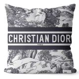 Fashionable household pillow, pillowcase, waist on set（40cm*40cm）