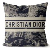 Fashionable household pillow, pillowcase, waist on set（40cm*40cm）