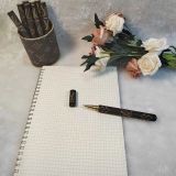 Medieval presbyopic office neutral pen pen calligraphy pen