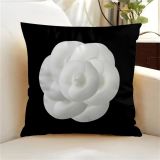 Fashionable household pillow, pillowcase, waist on set（60*60CM）