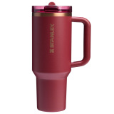 Fashionable multi-color insulated cup