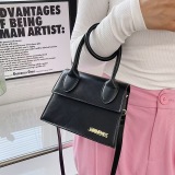 New Bag Fashionable bag