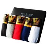 Men'S Fashion Cotton Underwear  Embroidery Bee Underpants