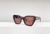New Sunglasses Lady Sunglass Female Sun Glasses (WITH BOX)