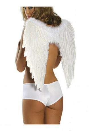 LE3331-1 Angel Wings