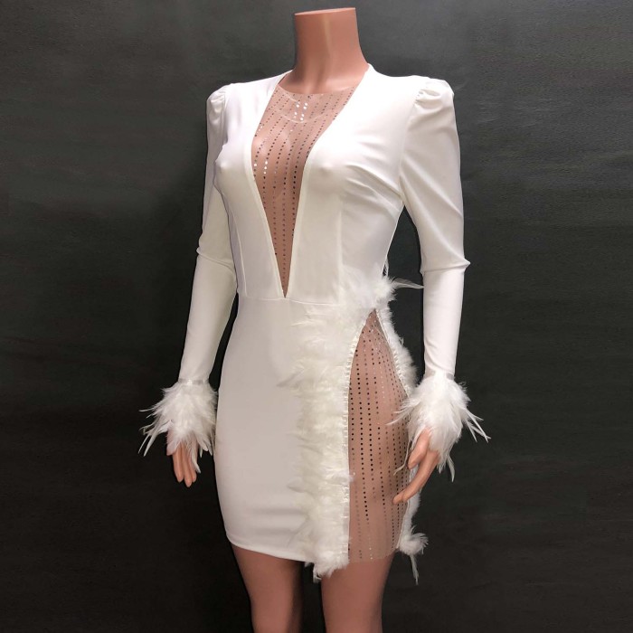 Crew Neck Mesh and Feather Trimming Party Dress
