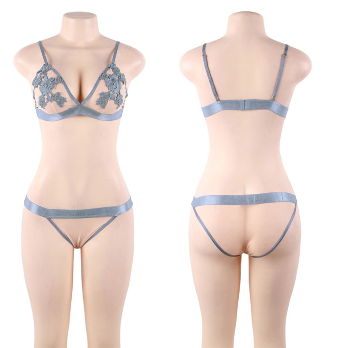 Breif Lace Bra and Panty Set