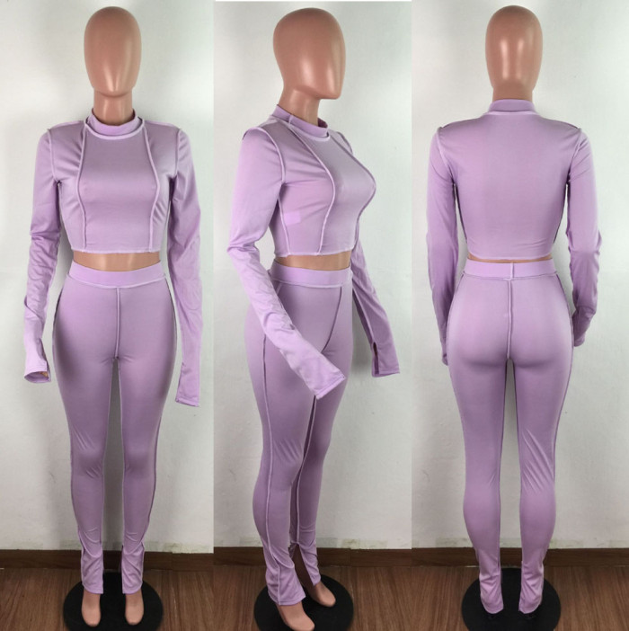 Sexy Two Piece Bodycon Crop Top and Pants Set
