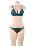 Breif Lace Bra and Panty Set