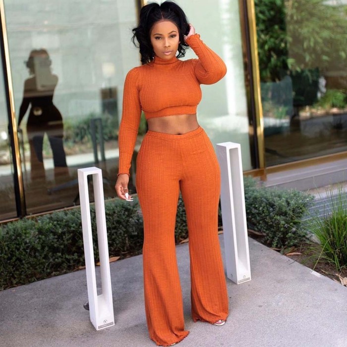 Long Sleeve Crop Top and Pants Set