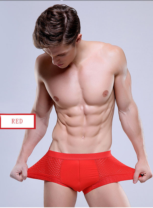 LE74005 Men's Breathable Mesh Sexy Boxer Underwear