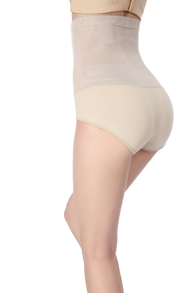 High Waist Brief Tummy Control Butt Lifter Panty Shaper LE7049-2
