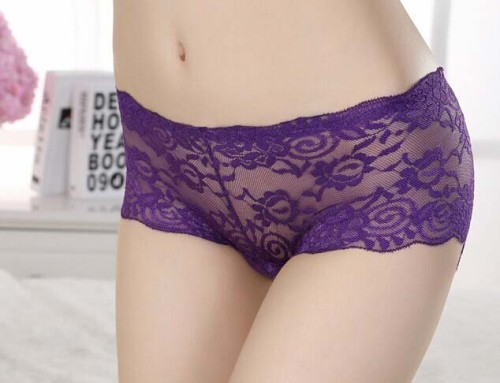 LE7034-3 Butterfly Embroidery Lace Panty