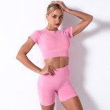 Seamless Yoga Exercise Short Suit