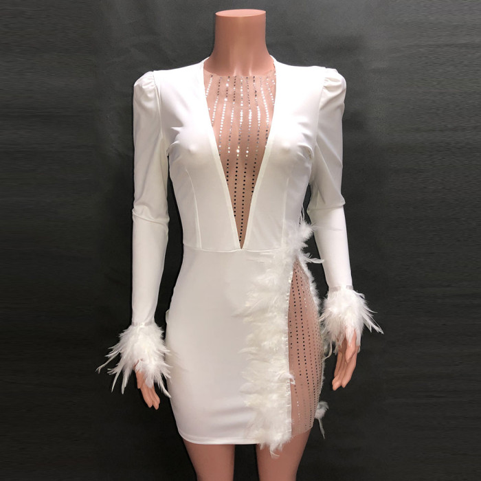 Crew Neck Mesh and Feather Trimming Party Dress