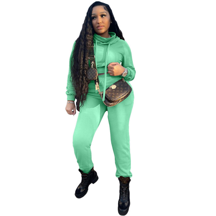 Pile Collar Hooded Casual Sports Two-piece Suit