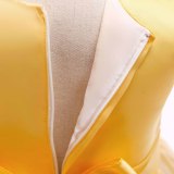 Girl Child Princess Dress