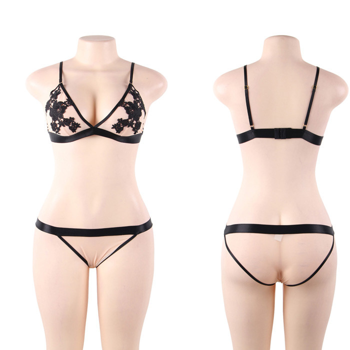 Breif Lace Bra and Panty Set