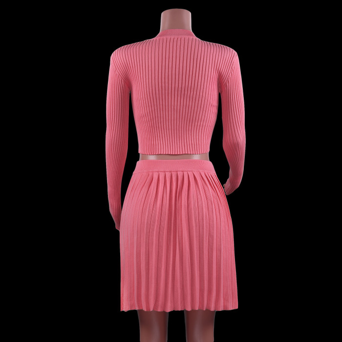 Crew Neck Long Sleeve Knit Pleated Skirt Sweater Two Piece Set
