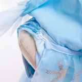 Frozen Princess Aisha Dress