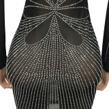 Mesh Perspective Long Sleeve Hollow Out Rhinestone Dress