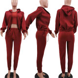 3pcs Thick Fleece Sweater Hooded Sports Leisure Suit
