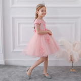 Flower Girl's Princess Birthday Dresses