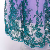 Embrodier Mesh Girl's Party Evening Dress