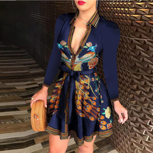Casual Chains Print Skater Dress with Belt
