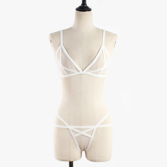 mesh sexy bra and panty brief underwear