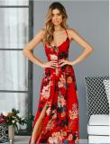 Bohemian Chiffon Print Sling Backless Dress