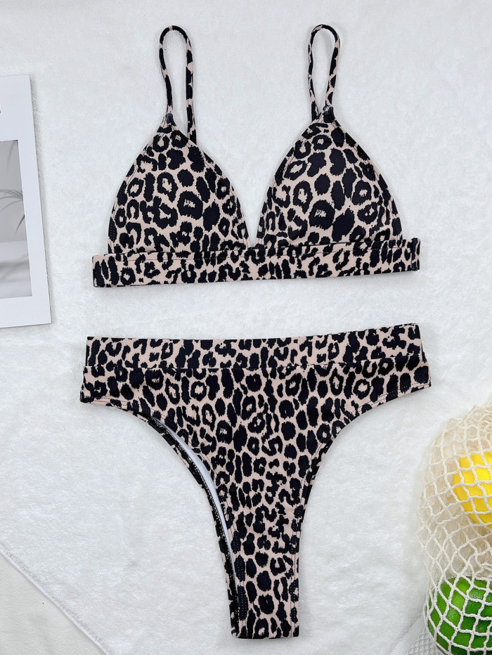Sexy Leopard Print Two Piece Swimwear 