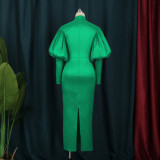 Long Sleeve Solid Color Split Fall Summer Turtleneck Formal Casual Vintage Party Puff Sleeve Slim Maxi long Dress