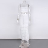 Cropped Top and  Hollow out Tassel Beach skirt Set