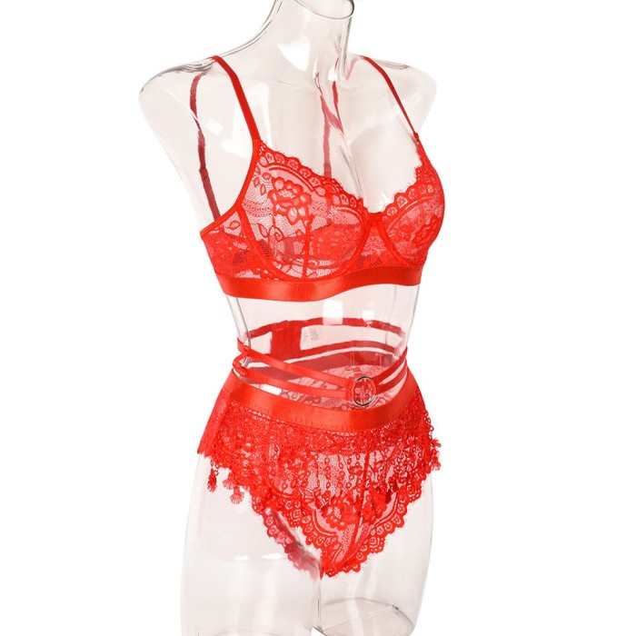 Lace Panel three piece set With Waist Seal Accessories