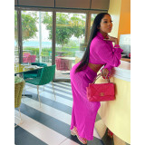 Women Long Sleeve Turndown Collar Button Shirt + Pant Two Piece