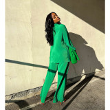 Women Long Sleeve Turndown Collar Button Shirt + Pant Two Piece